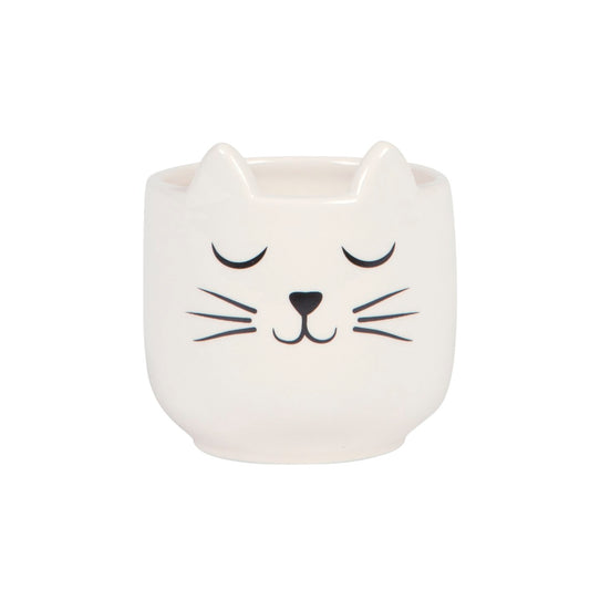 Mini Cat's Whiskers Planter